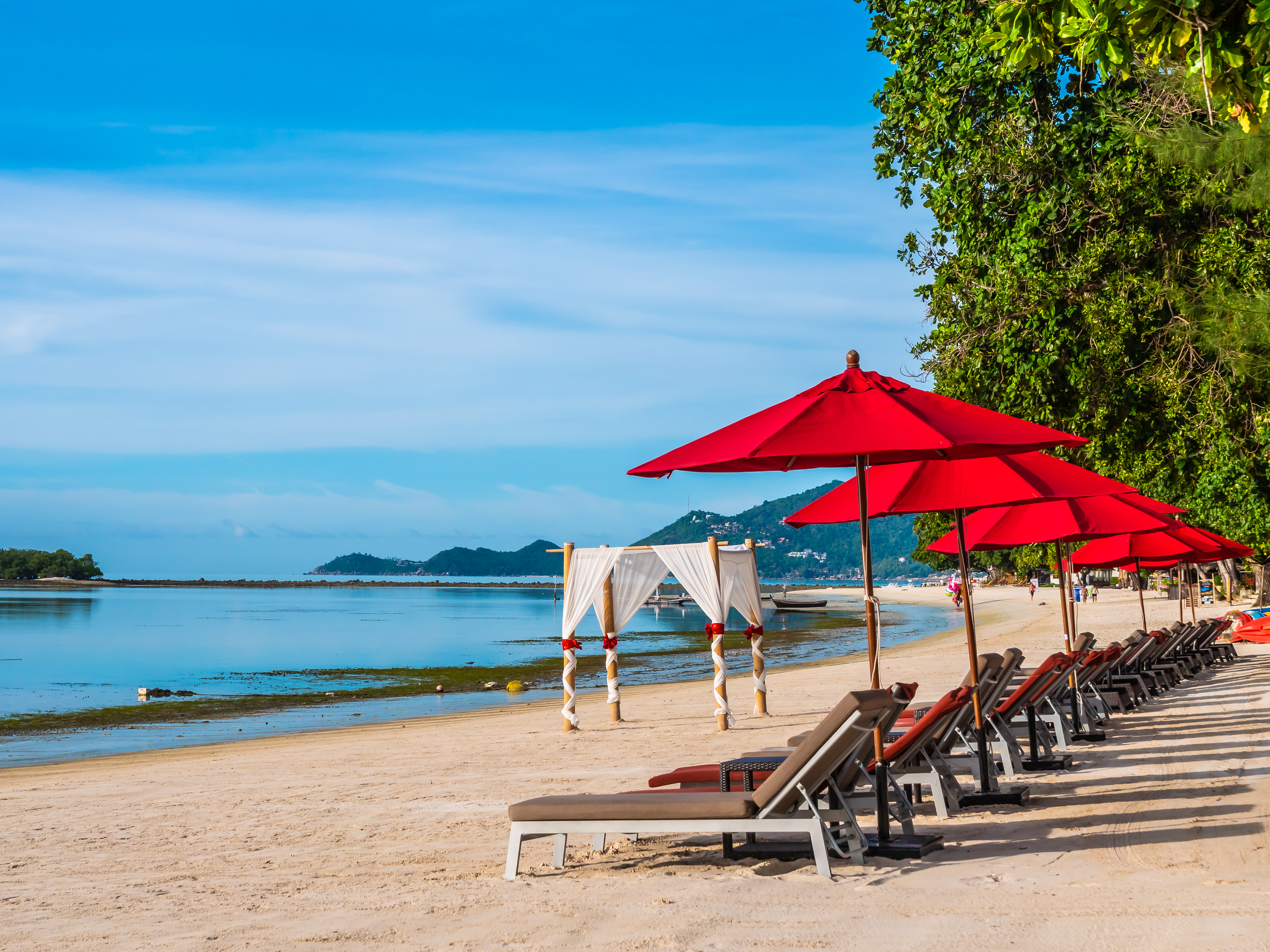 Holiday Packages